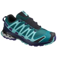 Salomon XA pro 3D V8 GTX Women Trail Running Shoes