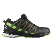 Salomon XA Pro 3D V8 Men's GTX, Black/Green Gecko