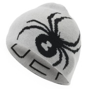 Spyder Reversible Innsbruck Hat, Black/Alloy | Vīriešu Cepure