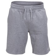 Swix Men's Shorts, Grey Melange