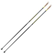 Swix Quantum 2 Poles