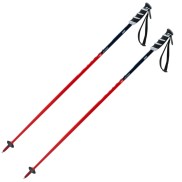Swix WC PRO Junior SL Alpine Poles