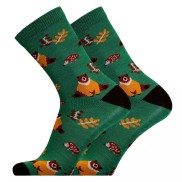UphillSport Bear Lifestyle Merino Wool Socks, Green