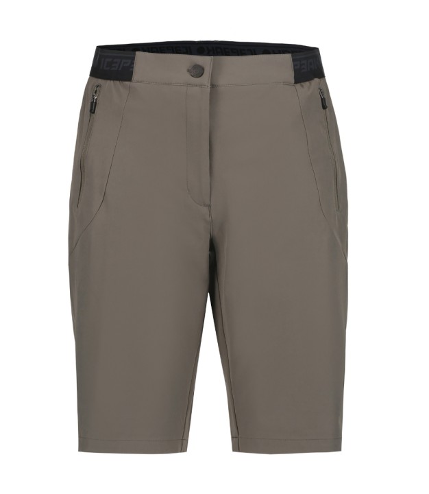 Icepeak Baxter Outdoor Shorts - Men's